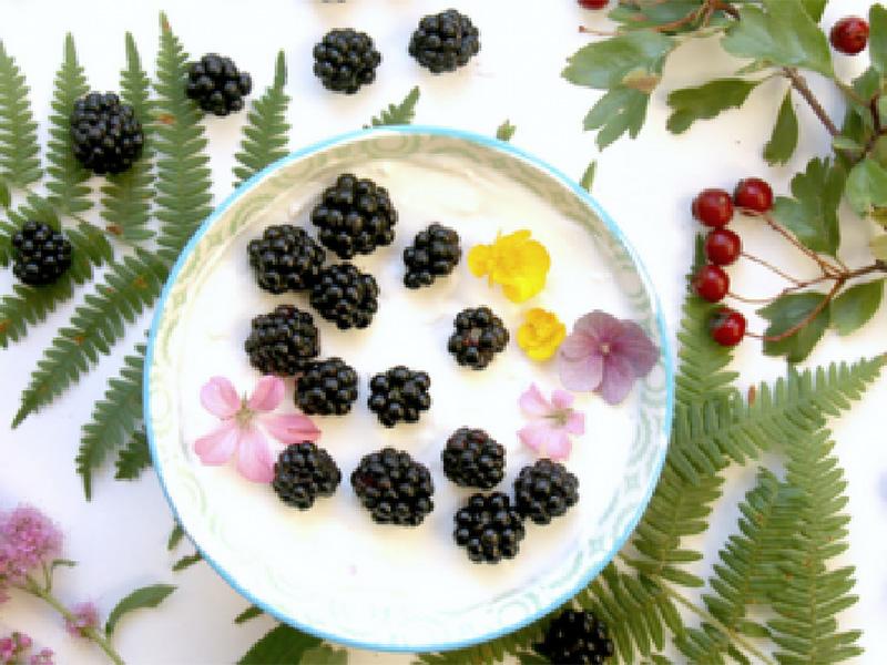 A MATCHA MADE IN HEAVEN image